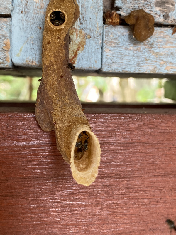 2A3A7AA6-9E2F-4652-97C1-0A864128E968