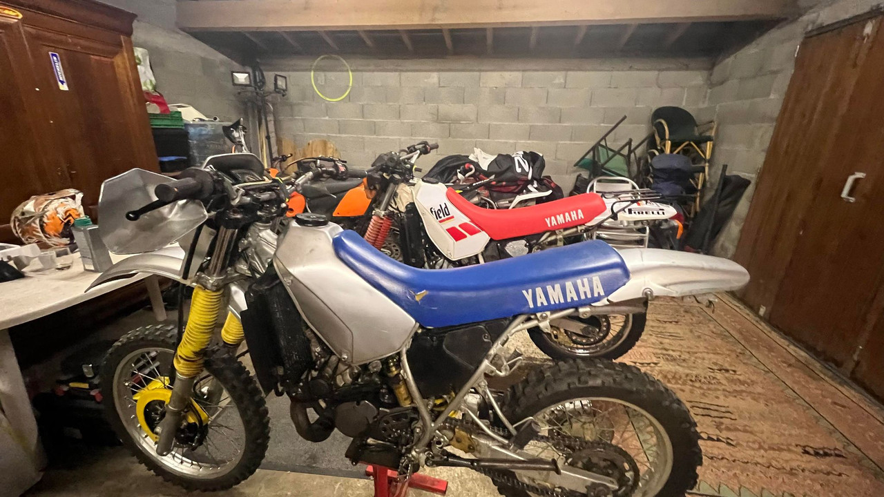 339460973_180962244883263_8877035776459958116_n