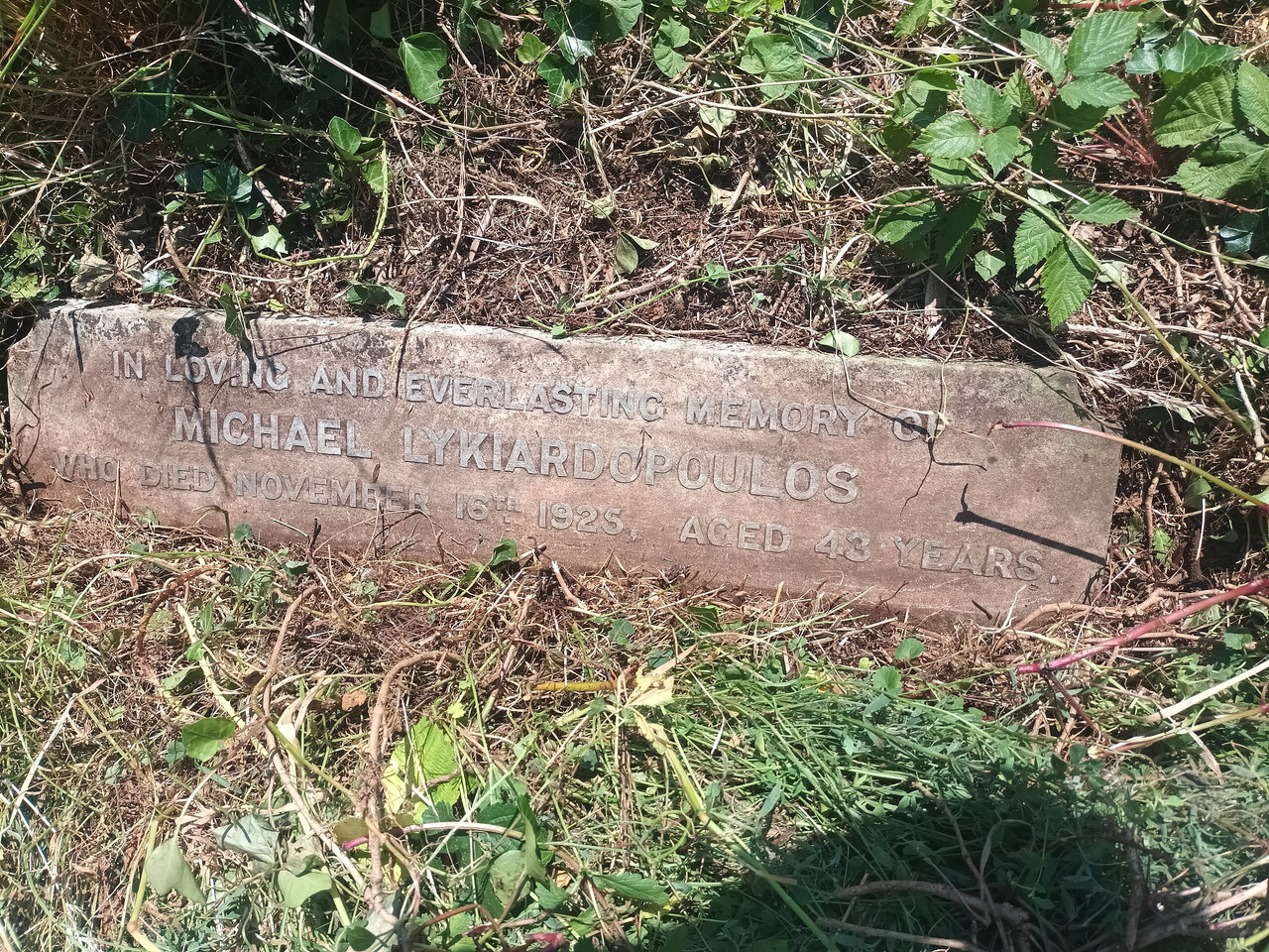 Mikhail-Likiardopulo-grave-01