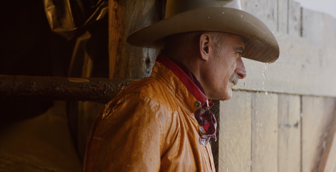 cowboy-3-1-1-3.jpg