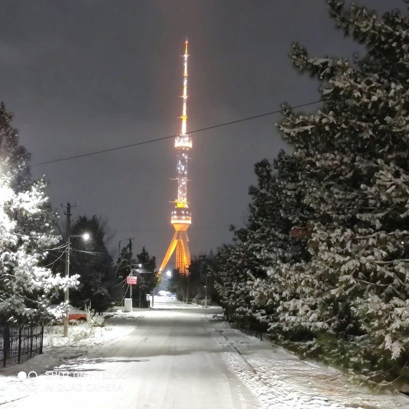 130820065-1317254098623091-7708080626514242842-n