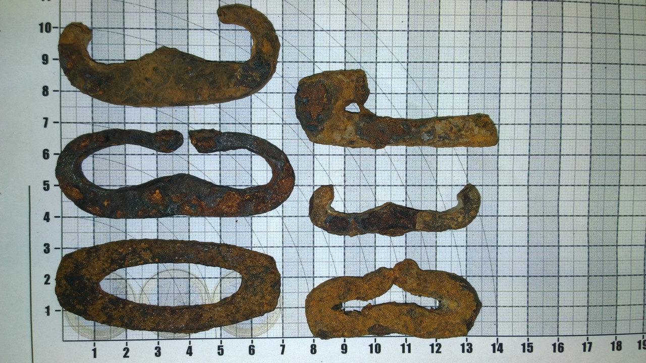 lyyratulus