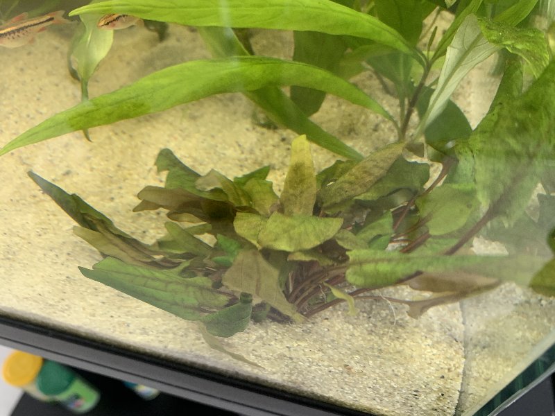 BA094771-1E3C-4933-89D0-22A6404A9741