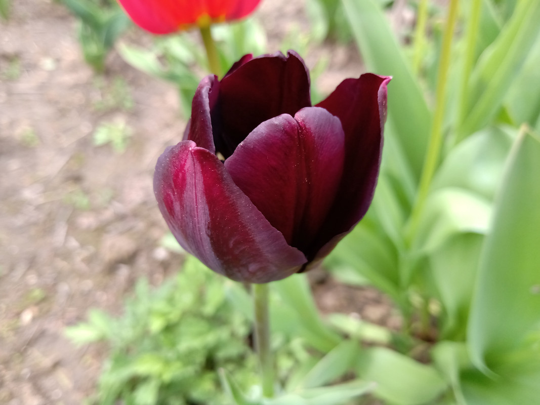 IMG_20230416_114259708