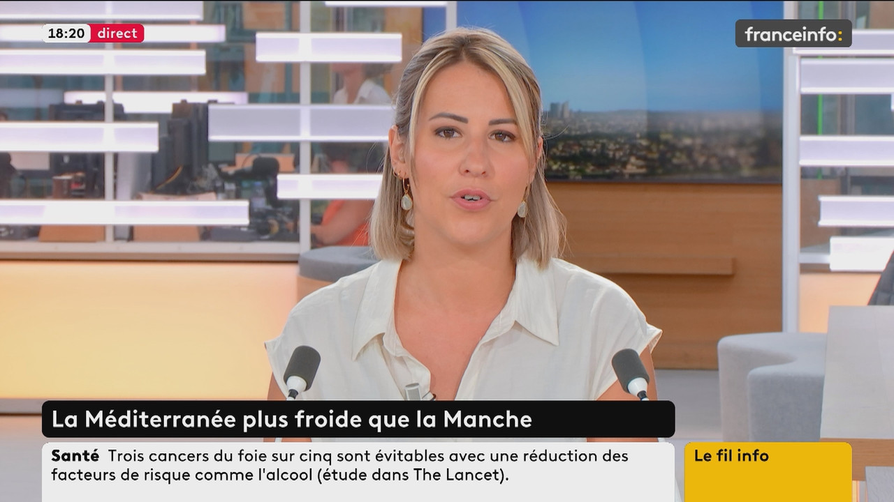 Le fil info (Franceinfo)_2025_07_29_15_54_29.ts_snapshot_01.27.03.078