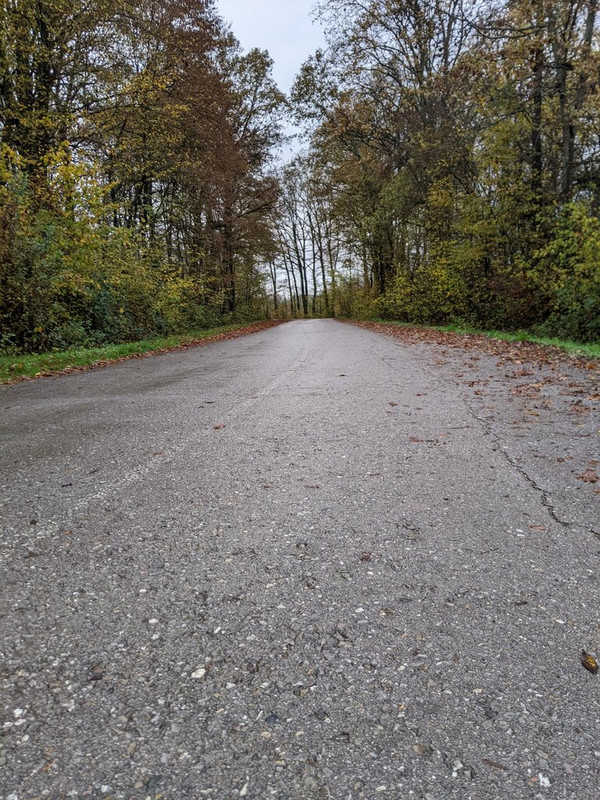 PXL_20221106_151845678