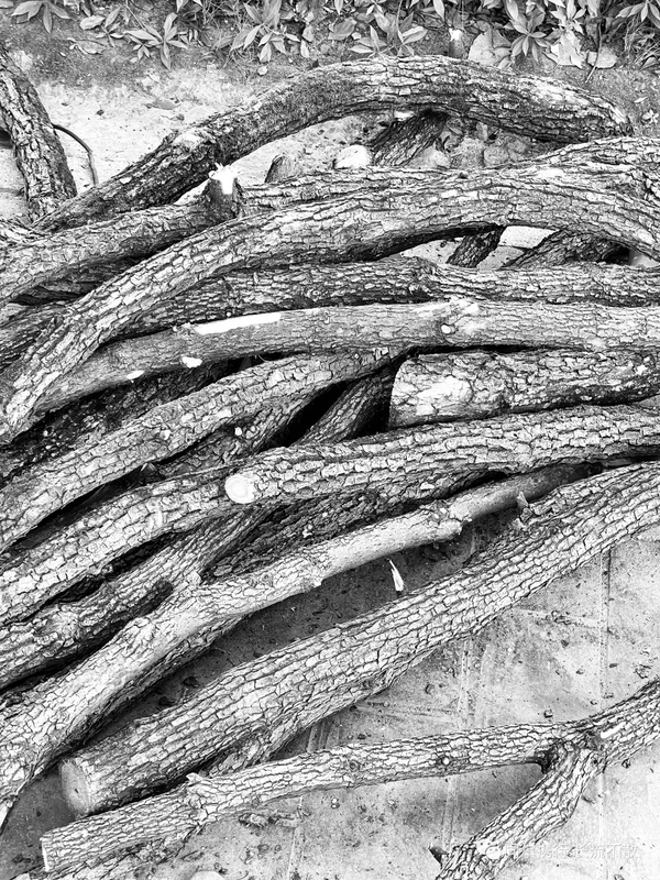 可能由于网络问题没显示出来