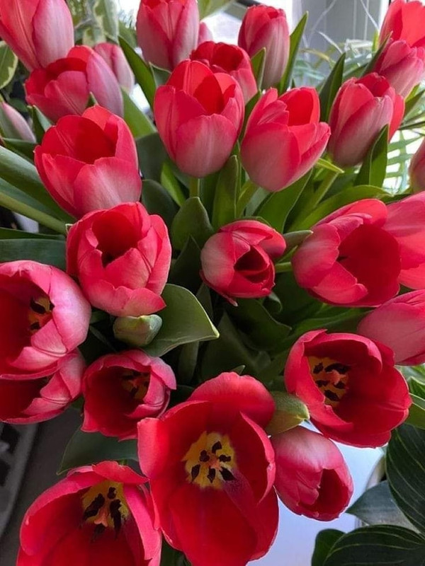 677238153-2836126356728147-4829463861348111136-n