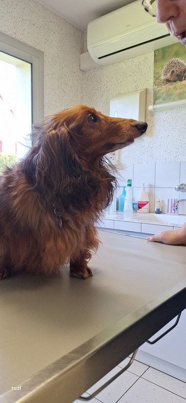 [Image: 20250331-172150.jpg]