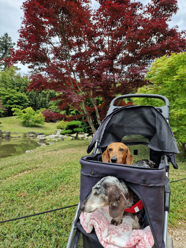 [Image: 20240512-121343.jpg]