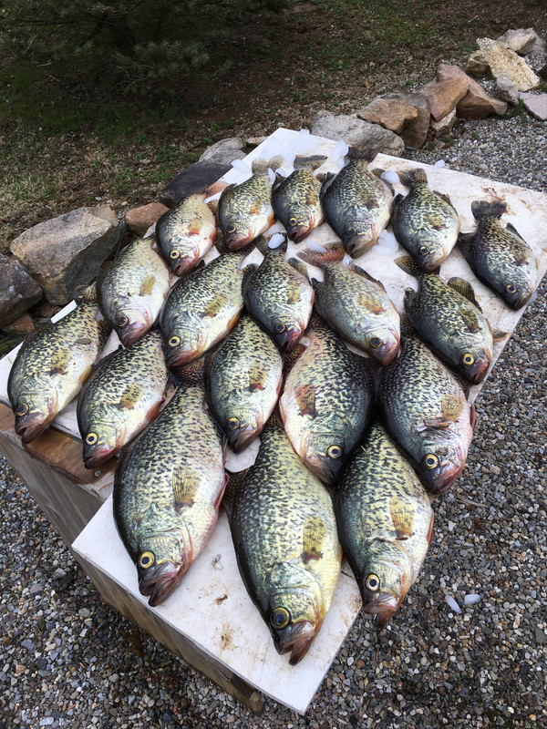 31D7C775-2A9B-4C68-9028-EB3B8FBE8F16