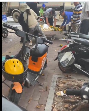 https://i.postimg.cc/tCHvJH28/imige-11.jpg