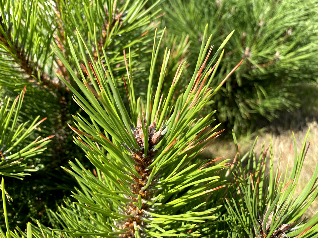 C0D1C154-BB29-4A94-BC93-4377090D429D