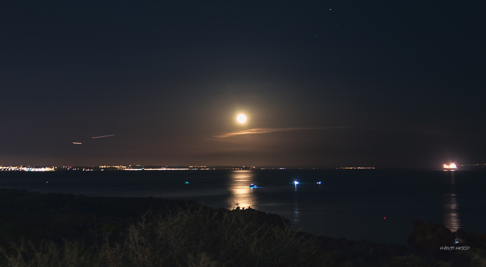 Hive-Villa-Boca-Night-06.jpg