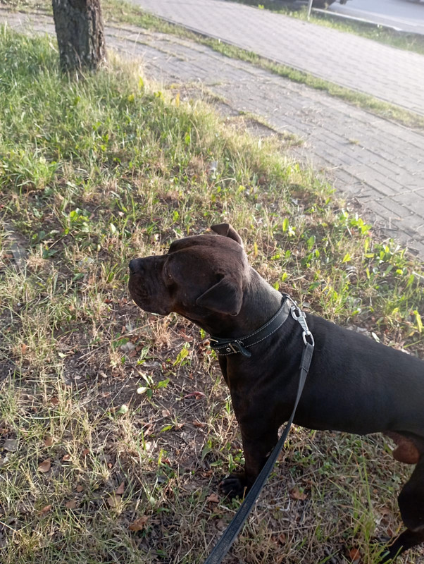 WhatsApp Image 2022-08-09 at 20.03.13 (2)