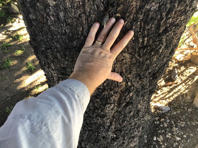 44C57406-8A63-45F9-9130-39F8EA3953F1