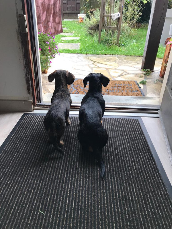 [Image: IMG-20221015-WA0000.jpg]