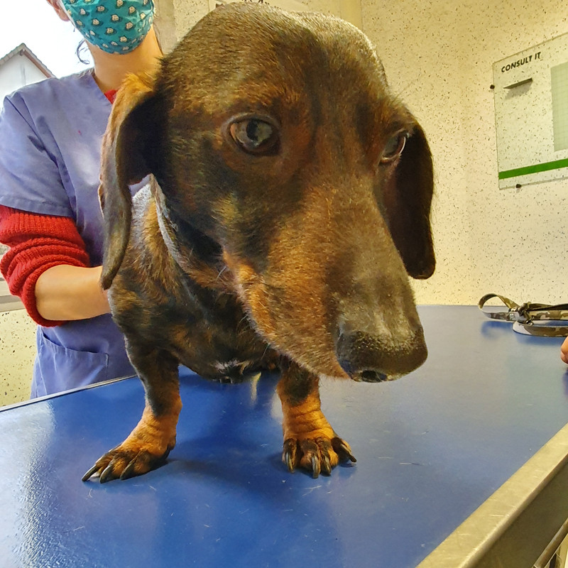 [Image: 20210206-164128.jpg]