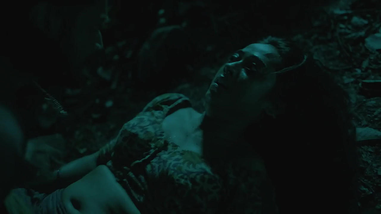 vlcsnap 2025 11 03 23h46m41s131