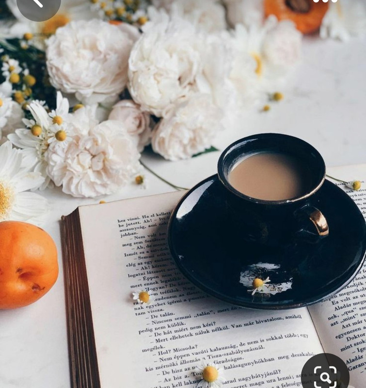 Screenshot_20230420_235435_Pinterest