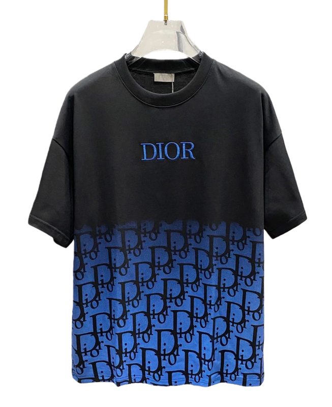 Dior Tee 40+ colorways [Premium Quality]
