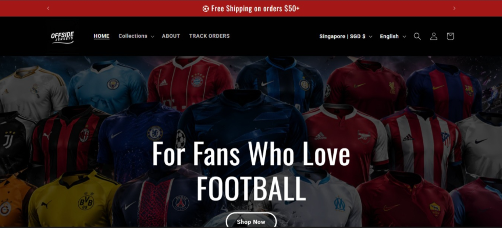 Shopify Ecom Website