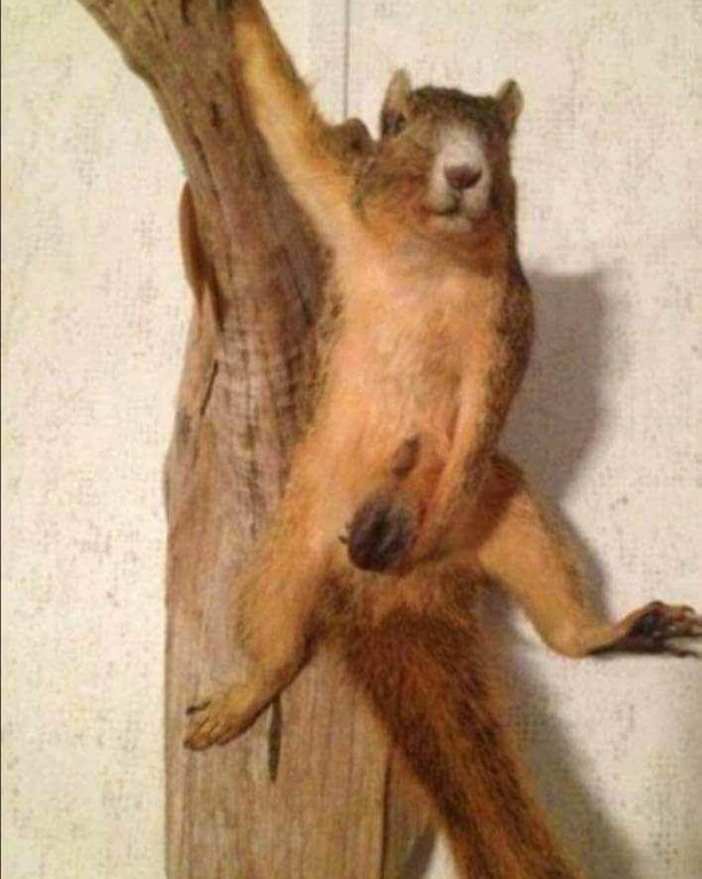 Screenshot_20211215-214835_Chrome