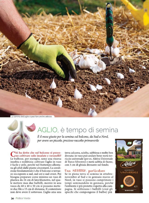 Pol Ver Gen 2023 (5)