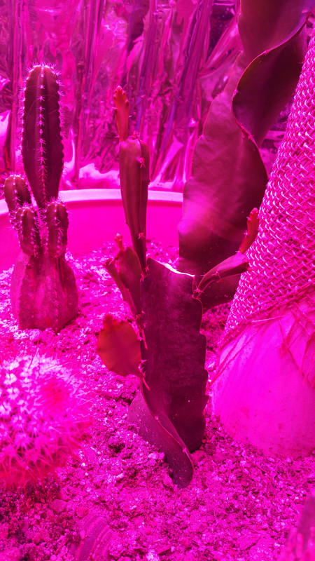 20151223_181613