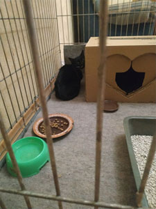 изображение_viber_2020-12-22_22-20-37