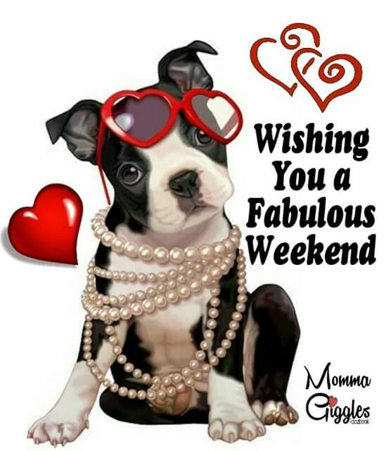 DOGS-WEEKEND