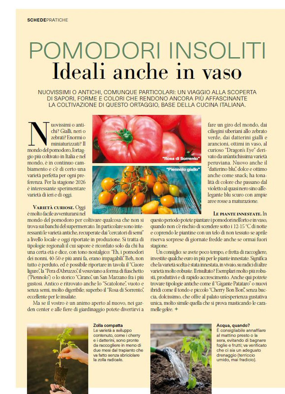 il mio Giar Apr Mag 2026 (5)