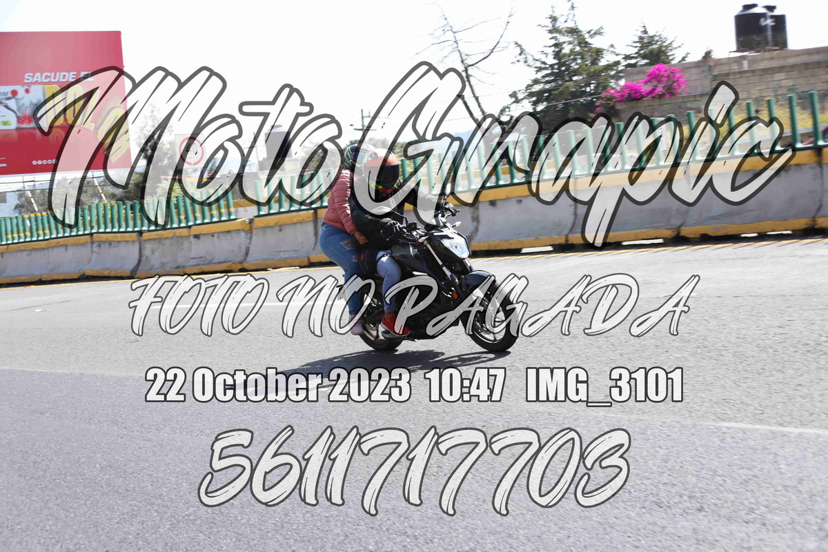 motgr IMG 3101 — Postimages