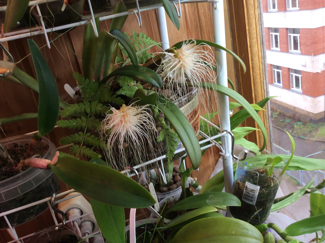 4B9084D8-EB42-48EF-B145-397D5B315E72