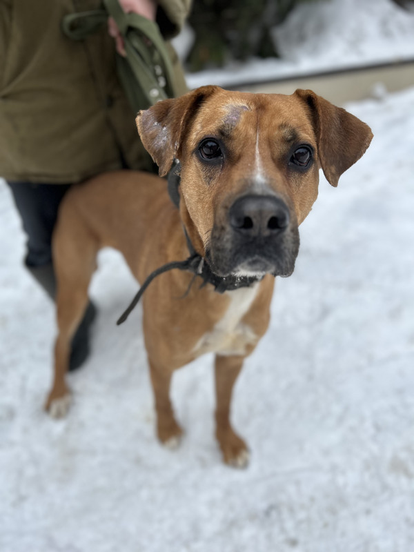 B29CCA00-0E37-4DE9-BE18-2B4E390BB850