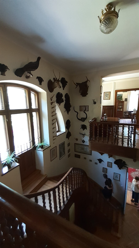 008 - 20200628_124918