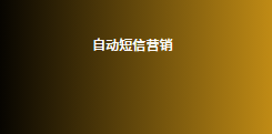 自动短信营销