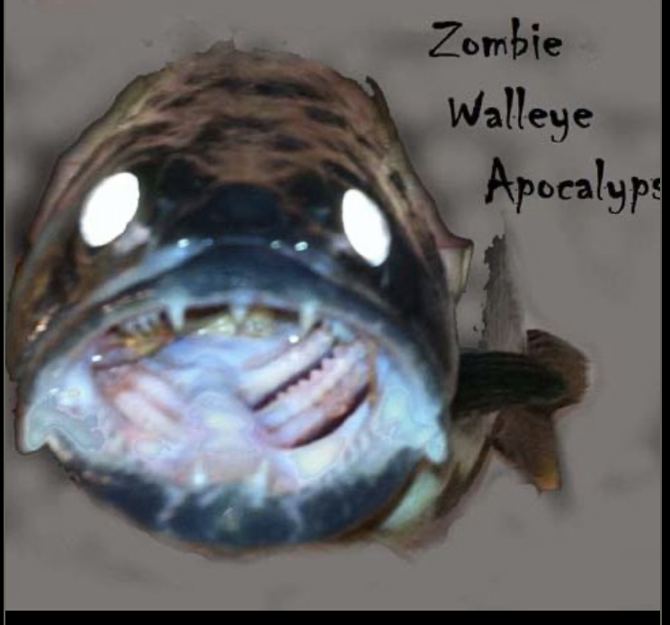 DAE9C484-41CF-497B-A37F-7179386FDF88