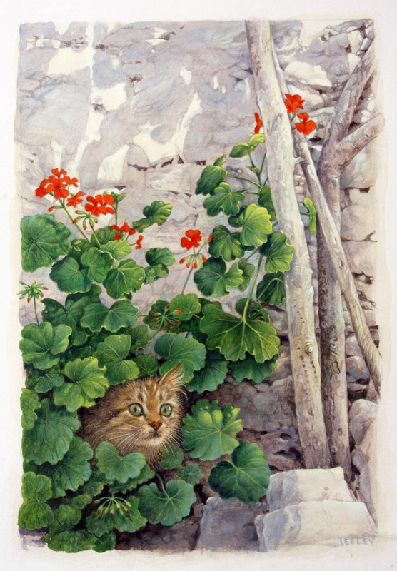 KATIA-GREEK-TABBY-IN-GERANIUMS-1-C23034(1)