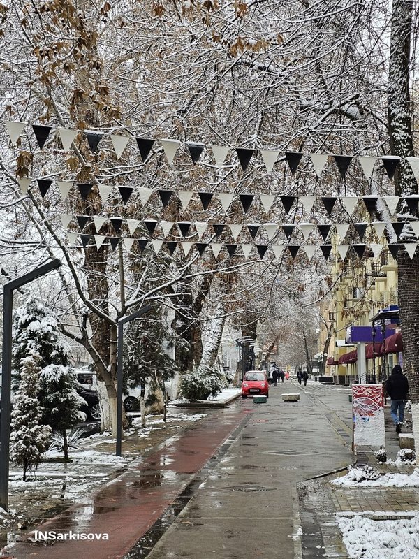 421889536-1315999935719417-7463041355726166498-n