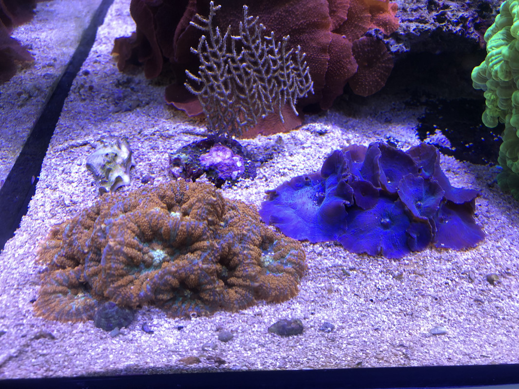 3B83FF06-CE27-4FBA-8B81-F4D24007159B