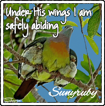 Sunyruby-Under-His-Wings