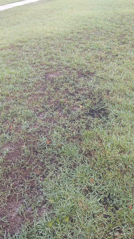 IMG_20220702_065914691