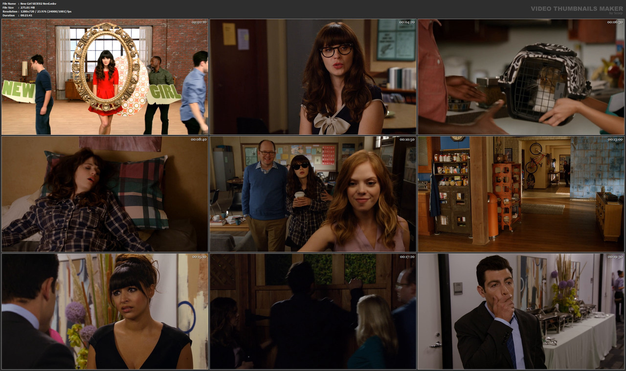 New Girl S03E02 Nerd.mkv