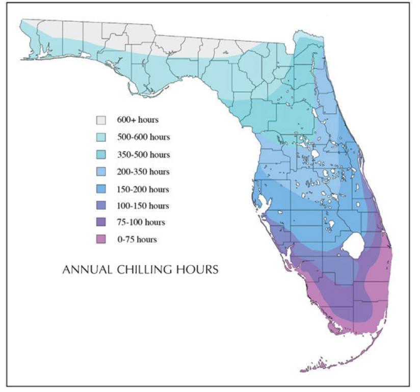 chilling hours Florida