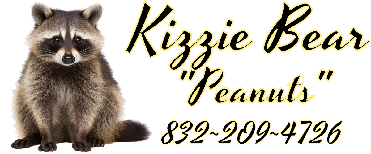 Kizzie-Bear-Signature.png