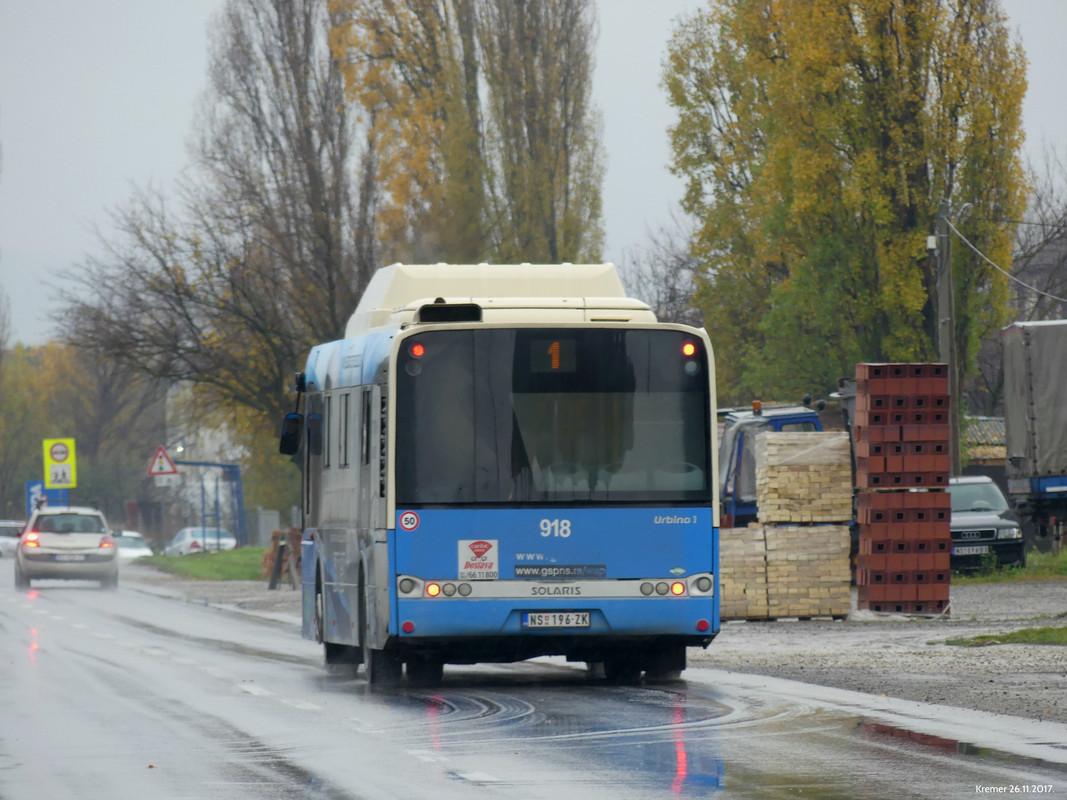 0P1000493