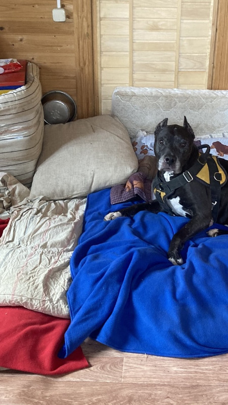 CCBAC6A1-ED71-4ACC-8EFB-C0407B86A25B