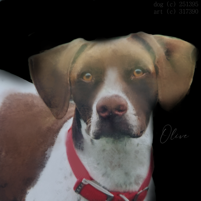 skye.png