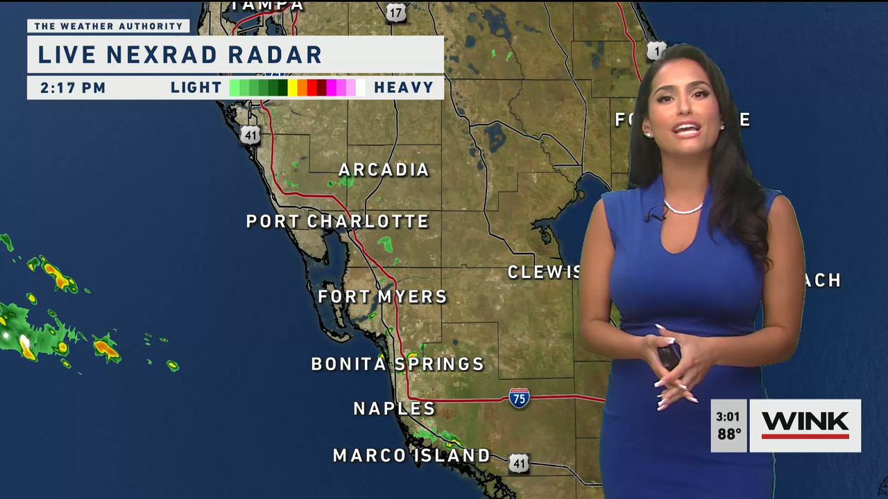 05.24 - 20.00.00 - WINK News at 3 00 p.m..ts_snapshot_06.00.977